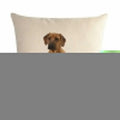 Axyaa Dog Cushion Covers Collection