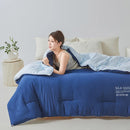 Axyaa Silk Comforter Queen King Size Luxury Temperature Control Bedding