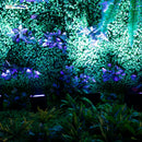 Axyaa LED RGBAW+UV Par Light 6x18W for Party, Wedding, Concert