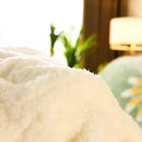 Axyaa Super Thick Lambswool Blanket for Beds: Warmth, Softness, and Coziness