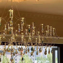 Axyaa Crystal Ceiling Chandelier: LED Firefly Shape Living Room Lights
