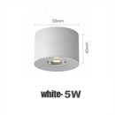 Axyaa Nordic LED Downlight Ceiling Light 5W 7W Surface Mounted Spotlight