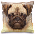 Axyaa 3D Animal Themed Cushion Covers (18" x 18") - Cute Designs