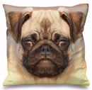 Axyaa 3D Animal Print Cushion Covers (18" x 18") - Cute Collection