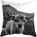 Axyaa Highland Cat Cow Yak Animal Pillowcase for Stylish Home Decor
