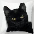 Axyaa  Black Cat Pillowcase  Decorative Square Cushion Cover 45*45cm