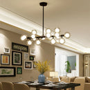 Axyaa Glass Ball LED Chandelier with Lampshade for Home Interior Lighting
