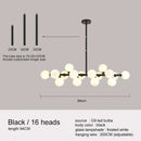 Axyaa Glass Chandelier Pendant Light for Living Room Kitchen Bar Decor