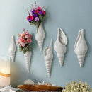 Axya Modern Conch Bar Wall Vase Decoration for Creative Home Background