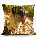 French Bulldog & Pug Dog Pillowcase by Axyaa - Decorative Animal Polyester Cushion Cover