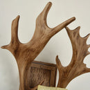 Axyaa Antler Headband Retro Wall Lamp | Wooden Wall Lights for Home Decor