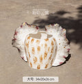 Ceramic Vase Home Decor Flower Arrangement Ornaments Axyaa Dried Hydroponic Crafts