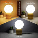 Axyaa Glass Table Lamp with LED Bulb and Button Switch