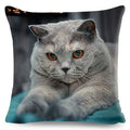 Axyaa British Shorthair Russian Blue Cat Cushion Cover - Cute Pet Animal Pillowcase