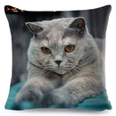 Axyaa British Shorthair Russian Blue Cat Cushion Cover - Cute Pet Animal Pillowcase
