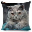 Axyaa Cat Pet Animal Cushion Cover - Cute British Shorthair Russian Blue Pillowcase