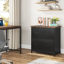 Axyaa Wood Lateral File Cabinet 2-Drawer, Home Office Filing Cabinet