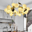 Axyaa LED Pendant Chandeliers for Modern Home Decor and Indoor Lighting