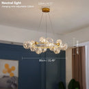 Axyaa Nordic Ring Star Chandelier Glass Ball Pendant Light