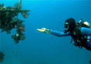Axya T6 LED Diving Flashlight - Waterproof Scuba Torch for Underwater Activities