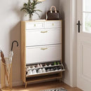 Axyaa Shoe Cabinet Storage with Drawers & Metal Legs