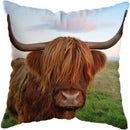 Axyaa Highland Cat Cow Yak Animal Pillowcase for Stylish Home Decor