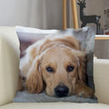 Axyaa Golden Retriever Dog Sofa Pillowcase for home decor