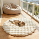 Axyaa Bubble Velvet Faux Rabbit Fur Carpet - Soft & Fluffy Pet Mat for Modern Living Room