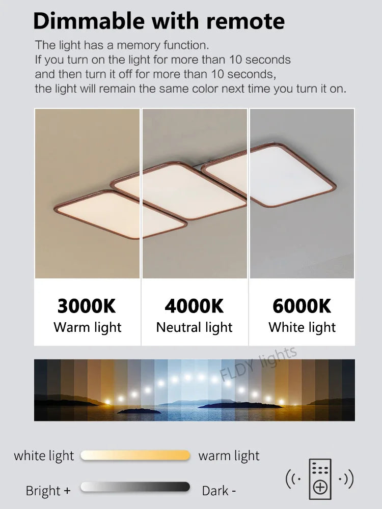 Axyaa Ultra-Thin Rectangular Ceiling Lamp for Living Room with Full Spectrum Eye Protection