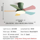 Axyaa Modern Nordic Ceiling Fan Light 5-Leaf LED Children Bedroom Decor