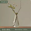 Axyaa Transparent Glass Zen Vase for Living Room Decor and Hydroponic Plants