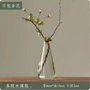 Axyaa Transparent Glass Zen Vase for Living Room Decor and Hydroponic Plants