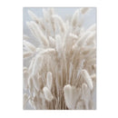 Axyaa Beige Bunny Tail Grass Pampas Reed Wall Art Print & Decor