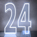 Axyaa Neon Double Digit Acrylic Digital Light for Birthday Party