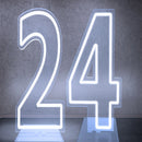 Axyaa Neon Double Digit Acrylic Digital Light for Birthday Party