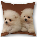 Axyaa Pomeranian Dog Pillowcase Cotton Linen Square Zipper 45X45cm Wedding Decor Pillow cover