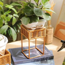 Axyaa Rustic Wicker Plant Stand with Flowerpot Indoor Decor Shelf