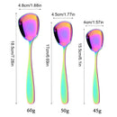 Axyaa Stainless Steel Large Rice Shovel Set for Kitchen Service