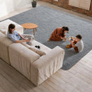 Axyaa Soft Shaggy Area Rug for Living Room and Bedroom Floor Decor
