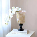Axyaa Elegant Glass Vase for Flowers, Antique Wind Lamp, Hydroponic Décor