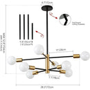 Axyaa Modern Ceiling Chandelier for Home Indoor Decor Lighting Fixtures