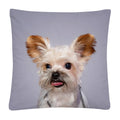 Axyaa Cute Dog Photo Polyester Cushion Cover for Home Sofa Car