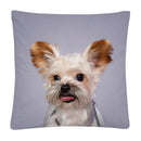 Axyaa Cute Dog Photo Polyester Cushion Cover for Home Sofa Car