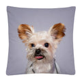 Axyaa Dog Photo Pattern Cushion Cover for Home Sofa Car Decoration