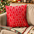 Axyaa Christmas Decor Throw Pillow Covers - Soft & Fluffy Xmas Series Cushion Pillowcase