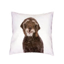 Siberian Husky Dogs Cushion Cover 45X45CM by Axyaa