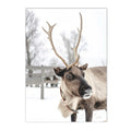 Nordic Elk House Winter Canvas Wall Art by Axyaa