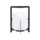 Axyaa White Acrylic Black Outdoor Floor Lamp for Garden Hotel Bedroom