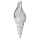 Axya Modern Conch Bar Wall Vase Decoration for Creative Home Background