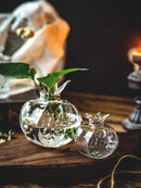 Axyaa Glass Pomegranate Vase: Home Hydroponic Flower Arrangement and Desktop Decoration